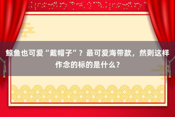 鲸鱼也可爱“戴帽子”？最可爱海带款，然则这样作念的标的是什么？