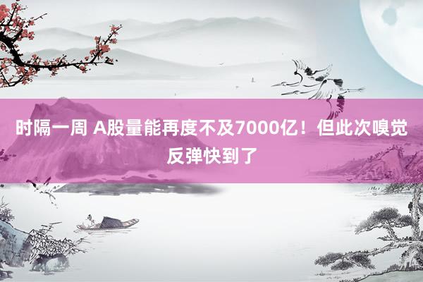 时隔一周 A股量能再度不及7000亿！但此次嗅觉反弹快到了