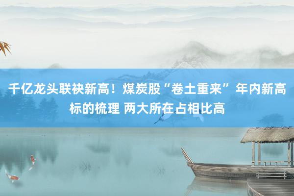 千亿龙头联袂新高！煤炭股“卷土重来” 年内新高标的梳理 两大所在占相比高