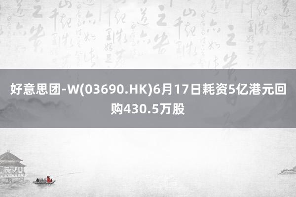 好意思团-W(03690.HK)6月17日耗资5亿港元回购430.5万股