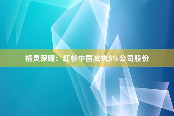 格灵深瞳：红杉中国减执5%公司股份