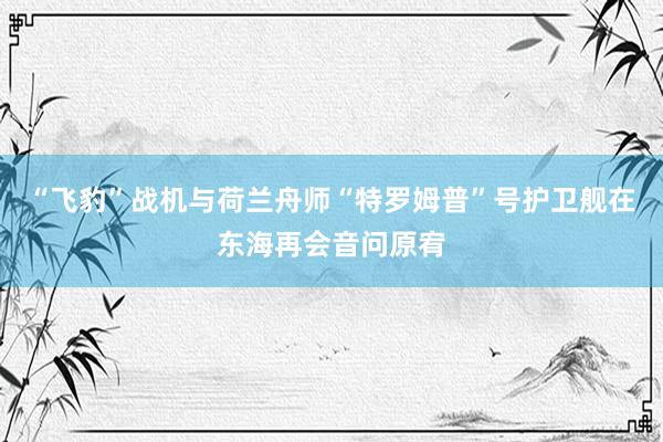 “飞豹”战机与荷兰舟师“特罗姆普”号护卫舰在东海再会音问原宥