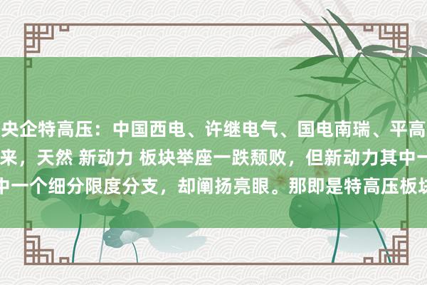 央企特高压：中国西电、许继电气、国电南瑞、平高电气含金量谁高 近两年来，天然 新动力 板块举座一跌颓败，但新动力其中一个细分限度分支，却阐扬亮眼。那即是特高压板块，在我国，特高压是指...