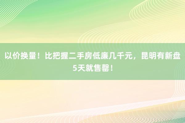 以价换量！比把握二手房低廉几千元，昆明有新盘5天就售罄！