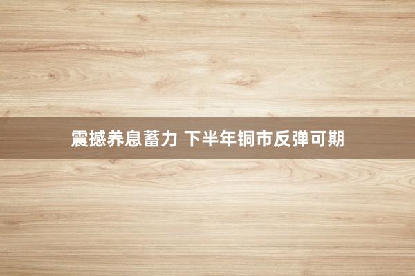 震撼养息蓄力 下半年铜市反弹可期