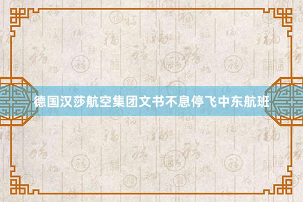 德国汉莎航空集团文书不息停飞中东航班