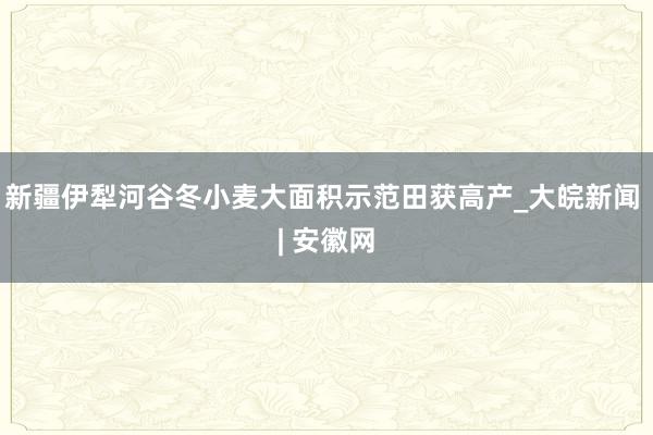 新疆伊犁河谷冬小麦大面积示范田获高产_大皖新闻 | 安徽网