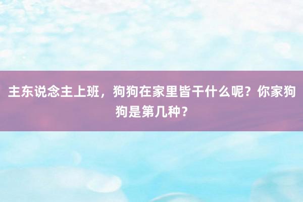 主东说念主上班，狗狗在家里皆干什么呢？你家狗狗是第几种？