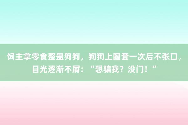 饲主拿零食整蛊狗狗，狗狗上圈套一次后不张口，目光逐渐不屑：“想骗我？没门！”