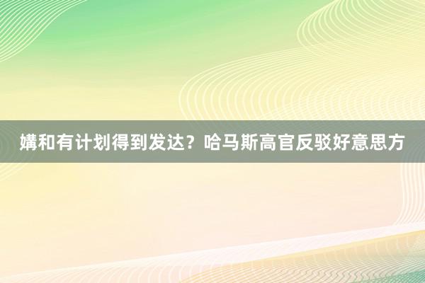 媾和有计划得到发达？哈马斯高官反驳好意思方