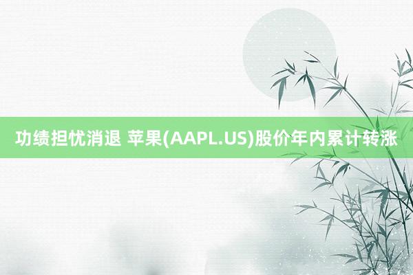 功绩担忧消退 苹果(AAPL.US)股价年内累计转涨