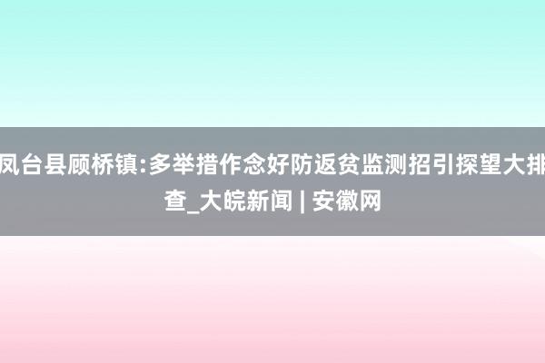 凤台县顾桥镇:多举措作念好防返贫监测招引探望大排查_大皖新闻 | 安徽网