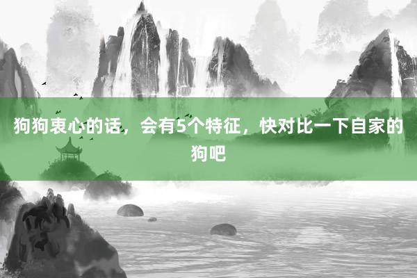 狗狗衷心的话，会有5个特征，快对比一下自家的狗吧