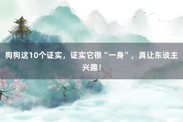 狗狗这10个证实，证实它很“一身”，真让东谈主兴趣！