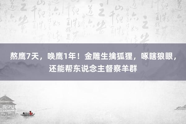 熬鹰7天，唤鹰1年！金雕生擒狐狸，啄瞎狼眼，还能帮东说念主督察羊群