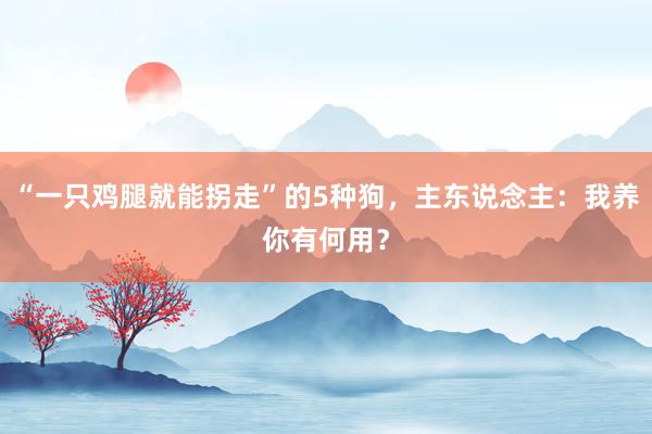 “一只鸡腿就能拐走”的5种狗，主东说念主：我养你有何用？