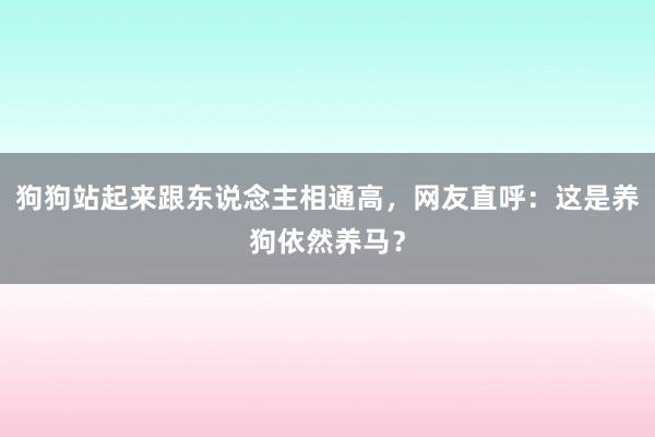 狗狗站起来跟东说念主相通高，网友直呼：这是养狗依然养马？