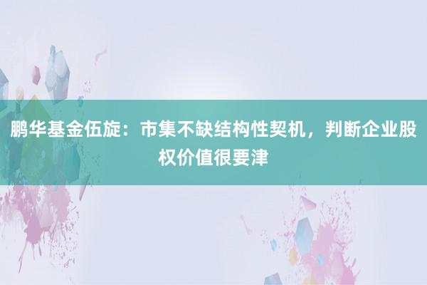 鹏华基金伍旋：市集不缺结构性契机，判断企业股权价值很要津