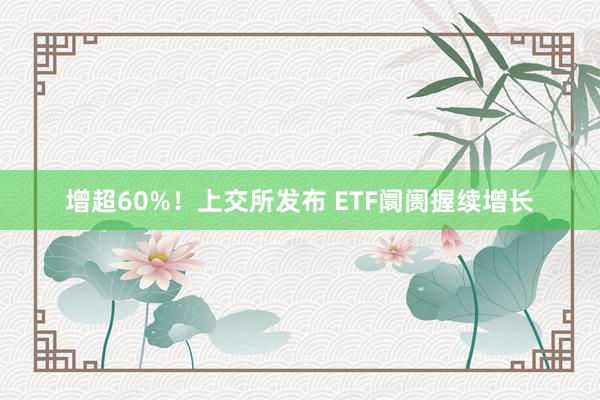 增超60%！上交所发布 ETF阛阓握续增长