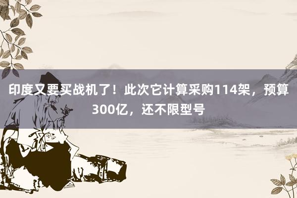 印度又要买战机了！此次它计算采购114架，预算300亿，还不限型号