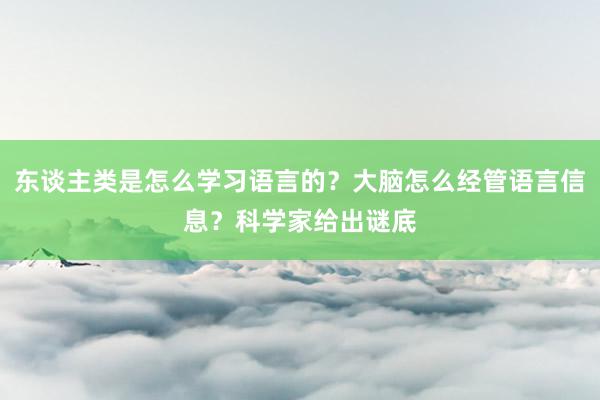 东谈主类是怎么学习语言的？大脑怎么经管语言信息？科学家给出谜底